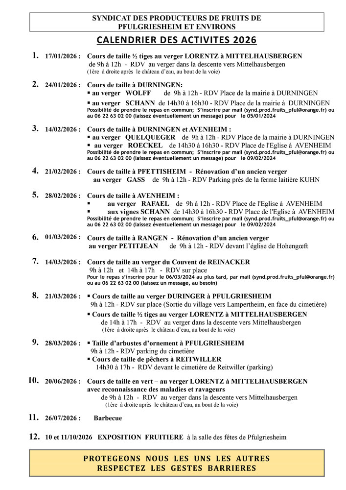 Cours de taille