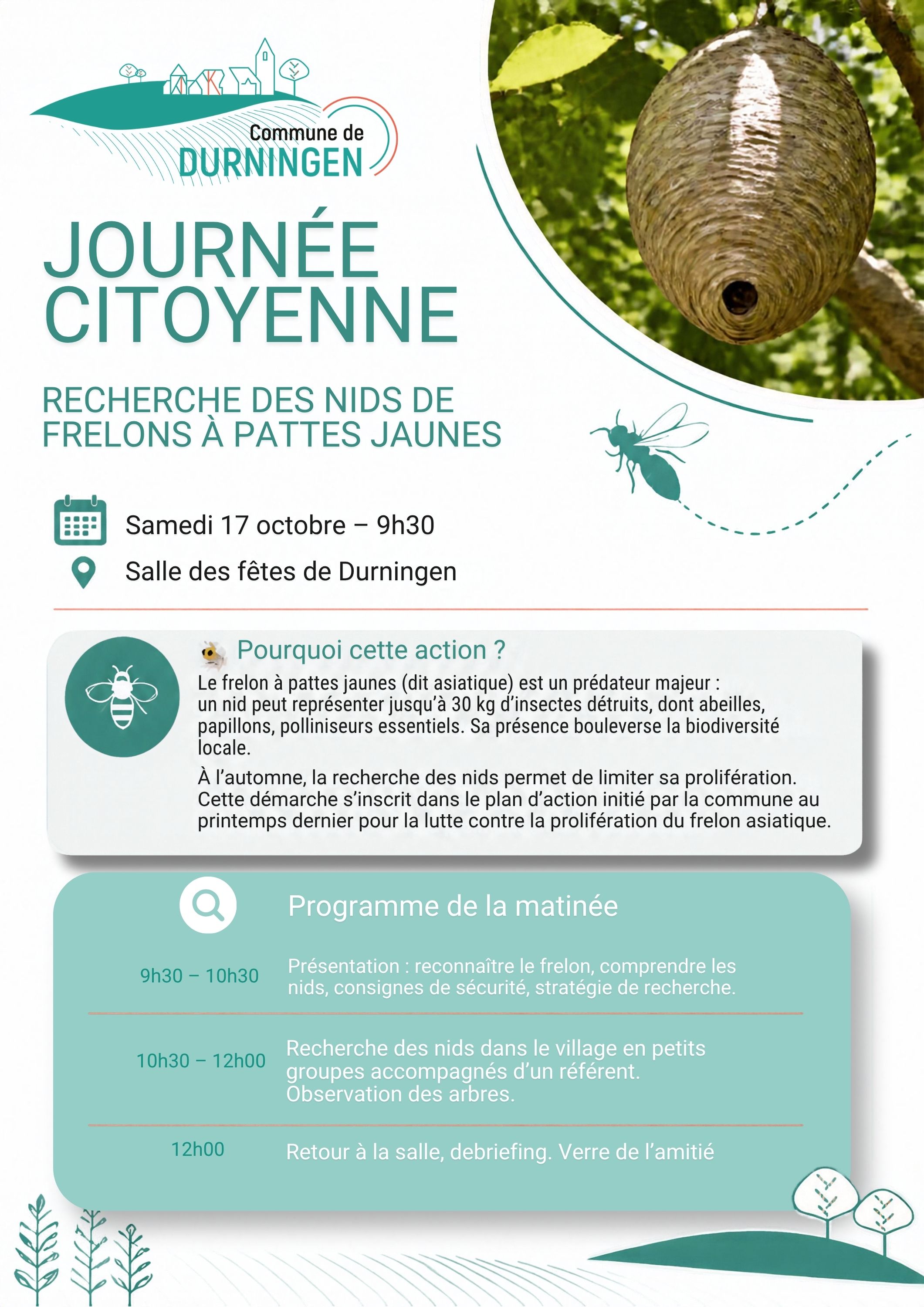 Journée citoyenne : recherche des nids de frelons à pattes jaunes