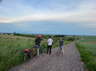 Panorama sur la Plaine d'Alsace